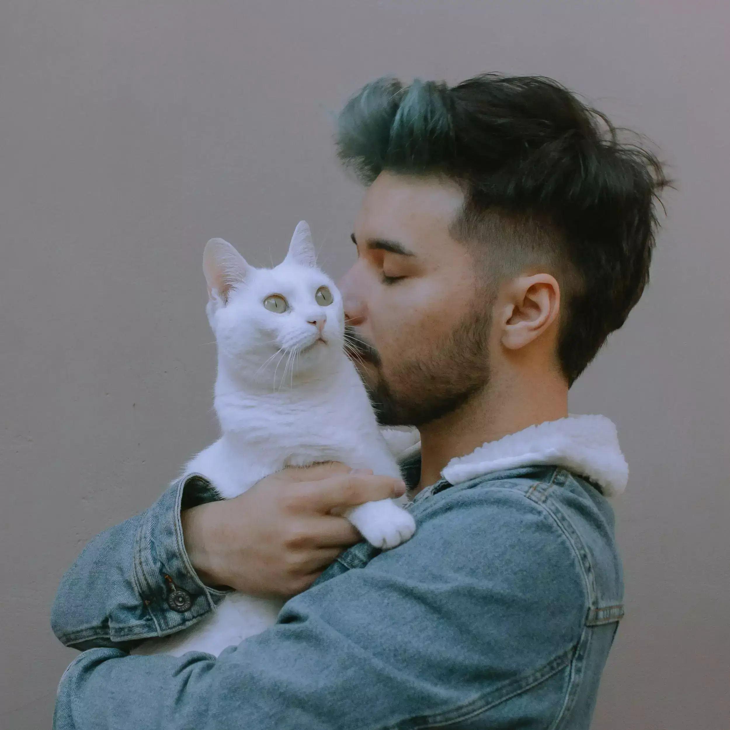stylish cats dp